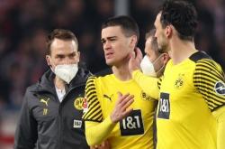 开云官方app入口-加拿大力克国际米兰，乔瓦尼·雷纳惊艳世界的简单介绍