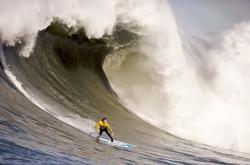 开云体育登录-约基奇，总决赛之夜的节奏大师