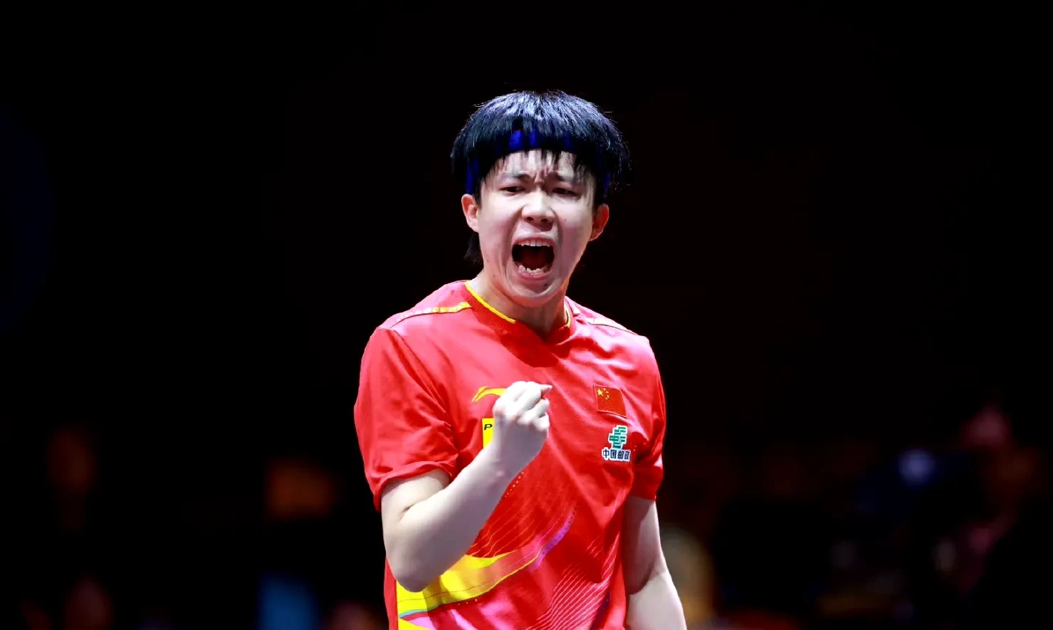 中国乒乓球队翻盘波兰乒乓球队，王皓爆发神勇的简单介绍