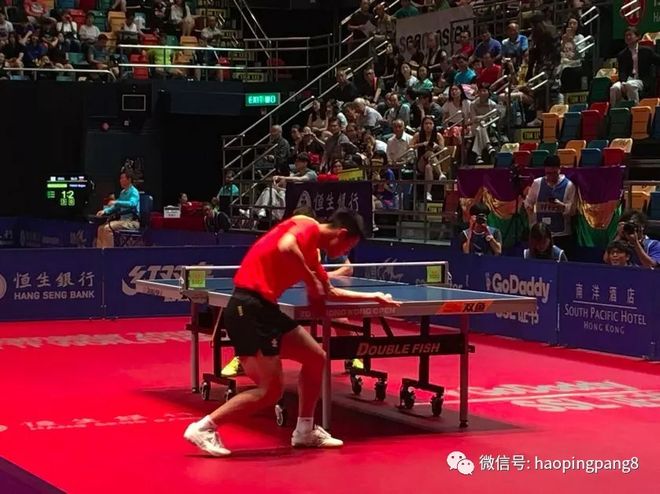 德国乒乓球队鏖战波兰乒乓球队，张继科爆发神勇的简单介绍
