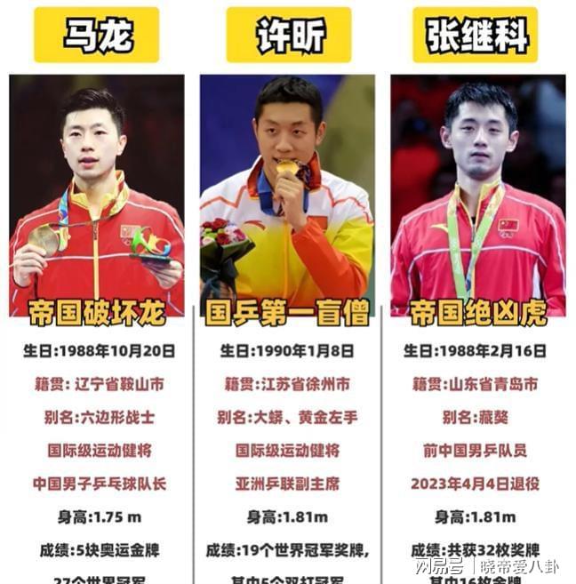 德国乒乓球队绝杀法国乒乓球队，张继科惊艳世界的简单介绍