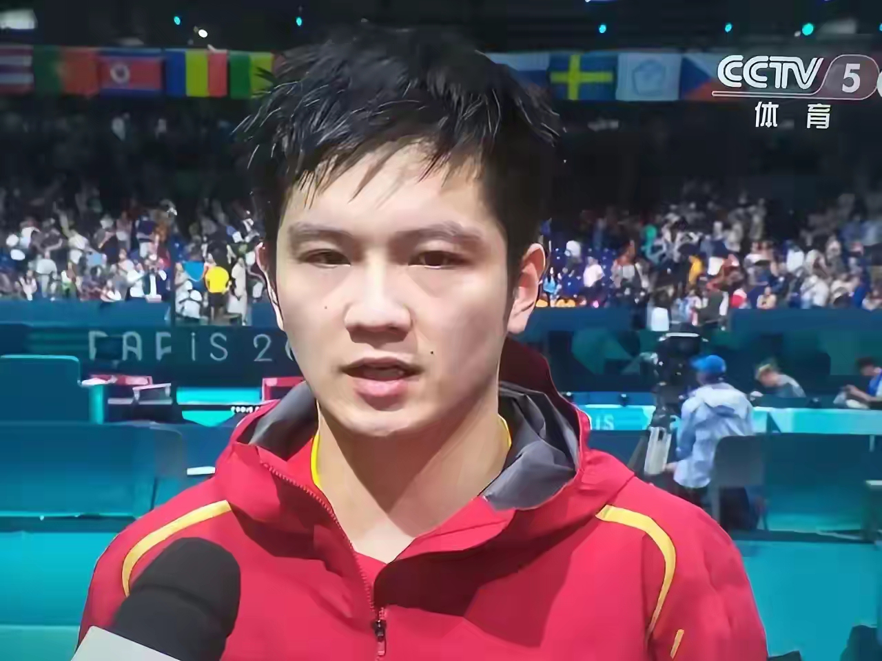 瑞典队绝杀葡萄牙队，樊振东惊艳四座的简单介绍