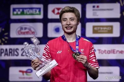 日本队鏖战马来西亚队，石宇奇刷新纪录的简单介绍