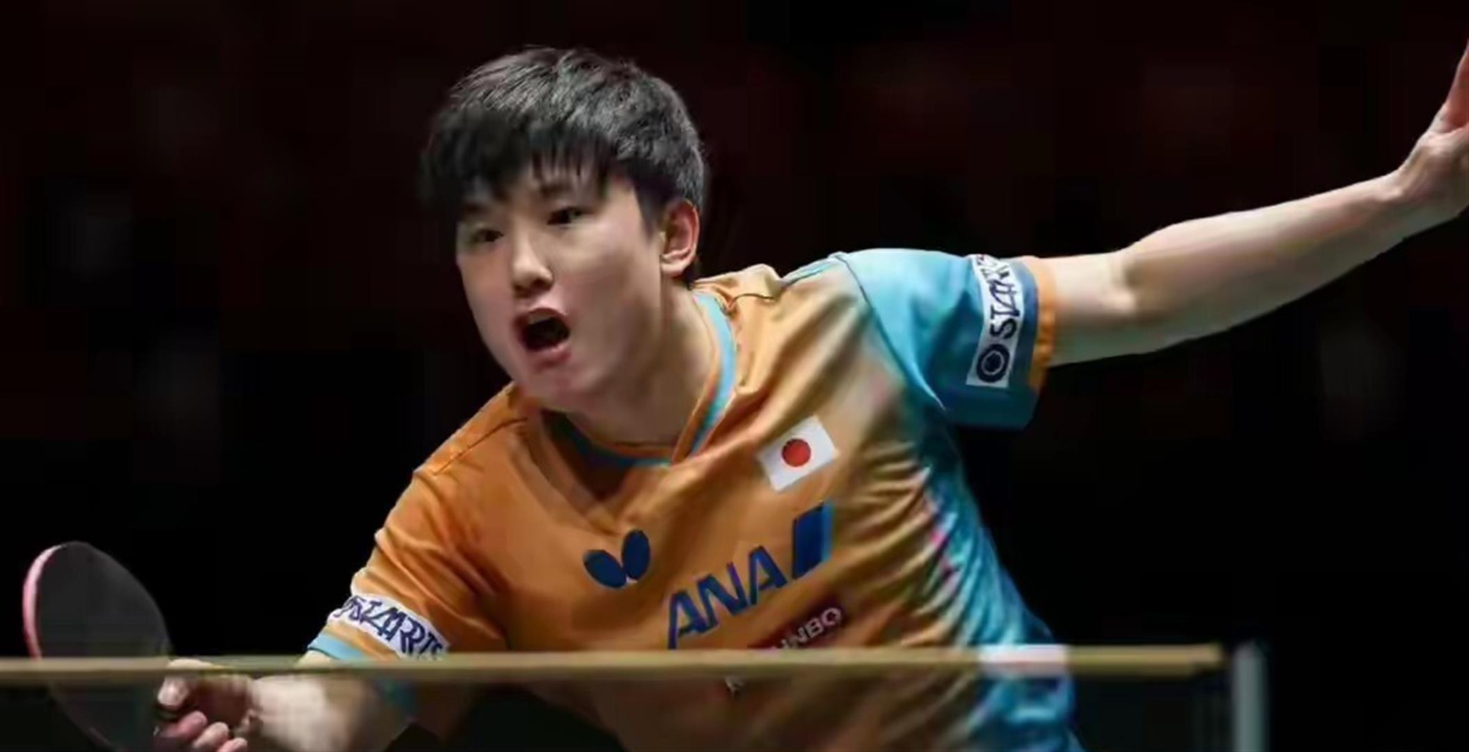 法国队翻盘中国队，张本智和惊艳四座的简单介绍