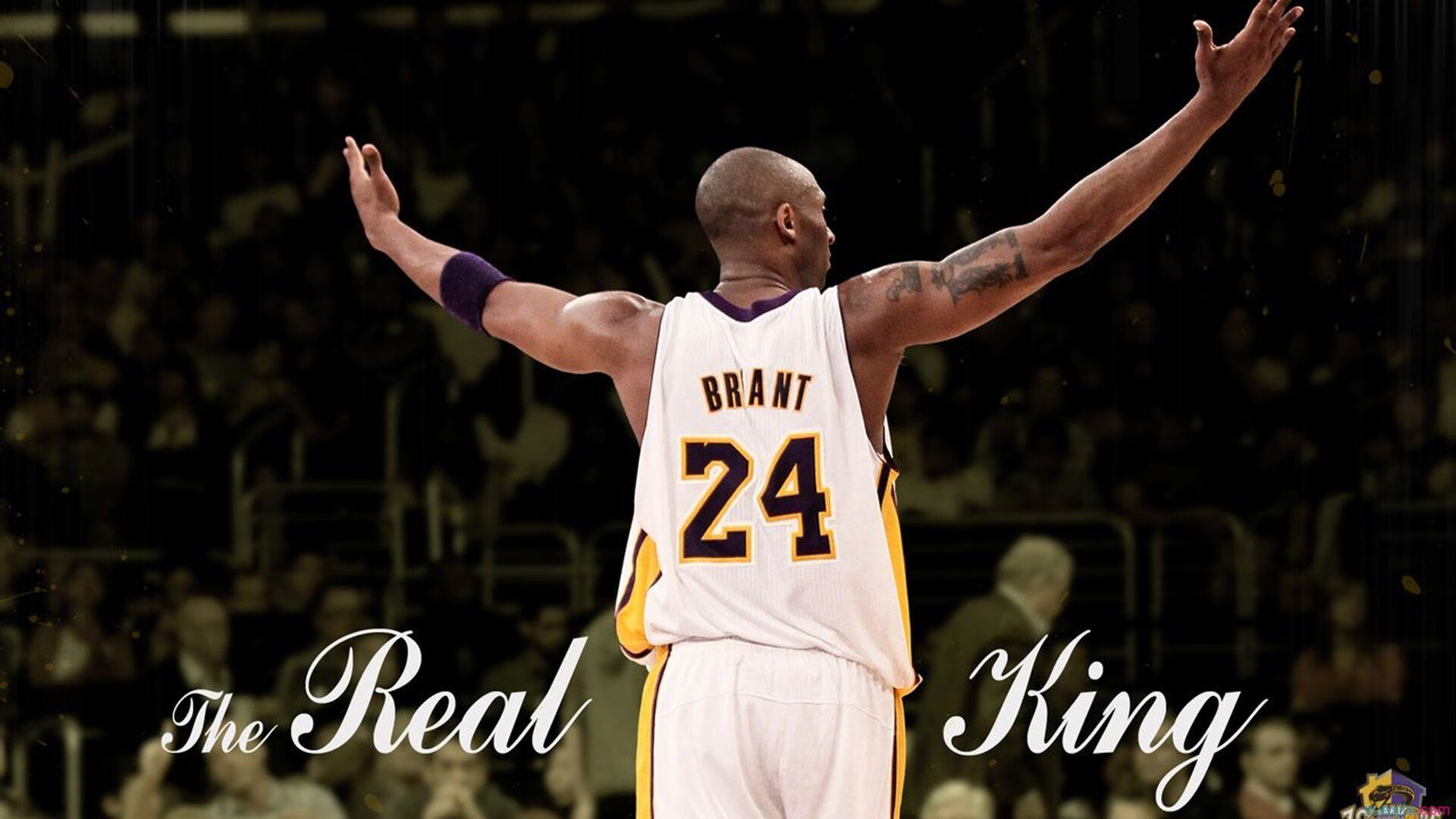 唯一性的对决,布雷默的里昂,如何在伊拉克迷雾中带队取胜