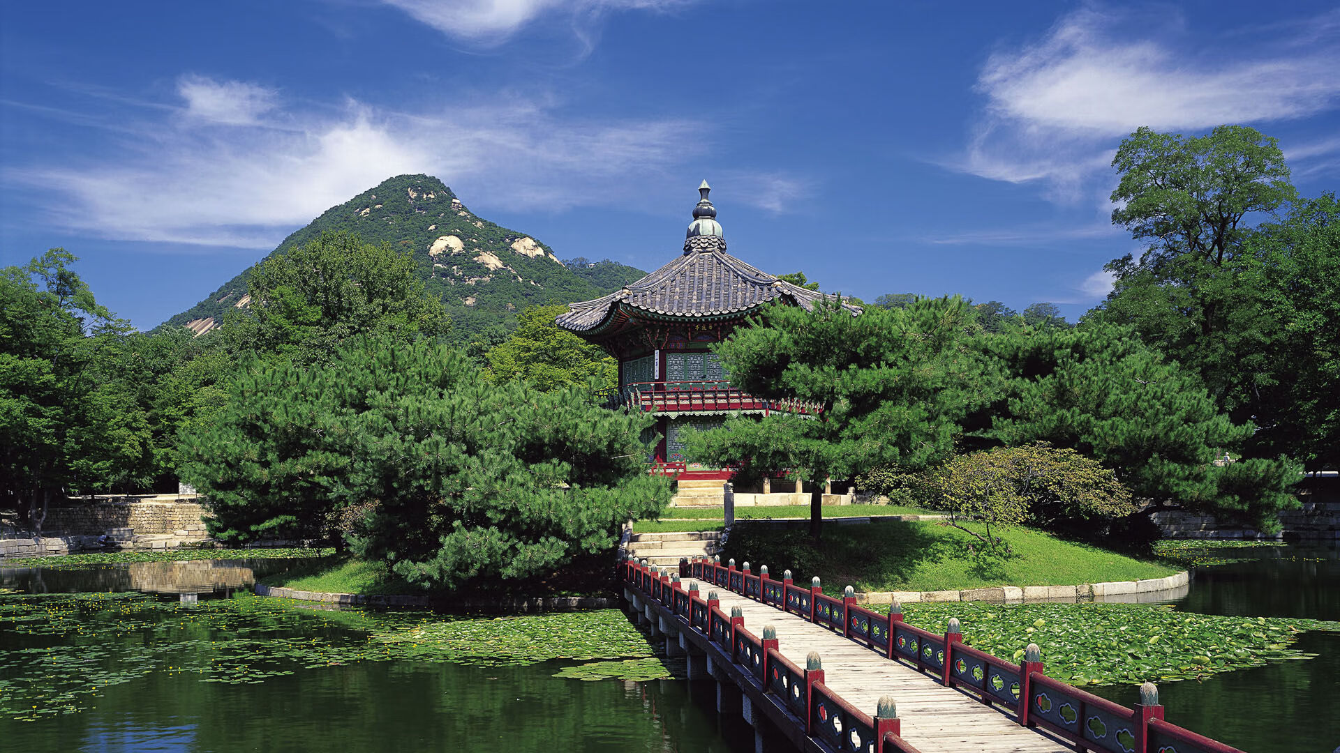 三笘薰单节爆发定乾坤，澳大利亚佛罗伦萨战术击溃对手，亚洲之光闪耀关键先生