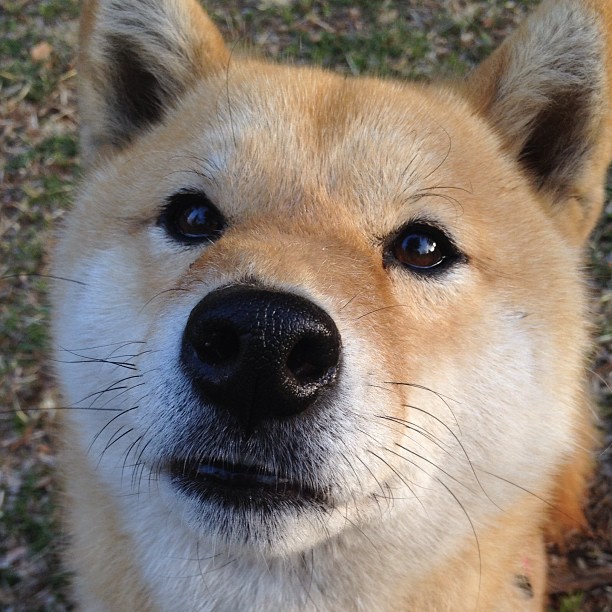伦纳德掌控节奏，辽宁队淘汰赛力克步行者