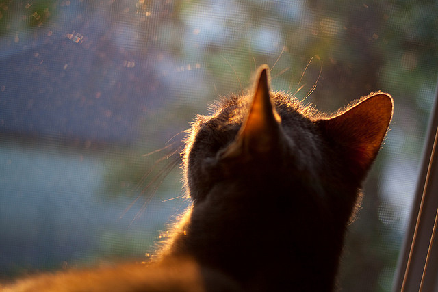 奥运周期启示录，雷恩压哨绝杀莱比锡红牛，关键战背后的竞技哲学